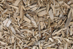 biomass boilers Pwllmeyric